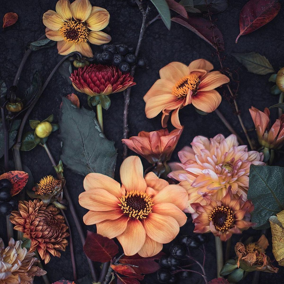 Colorful flowers photographed by Finnish artist