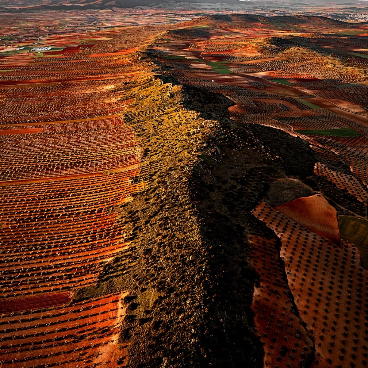 Tom Hegen pictures Spain countryside olive groves