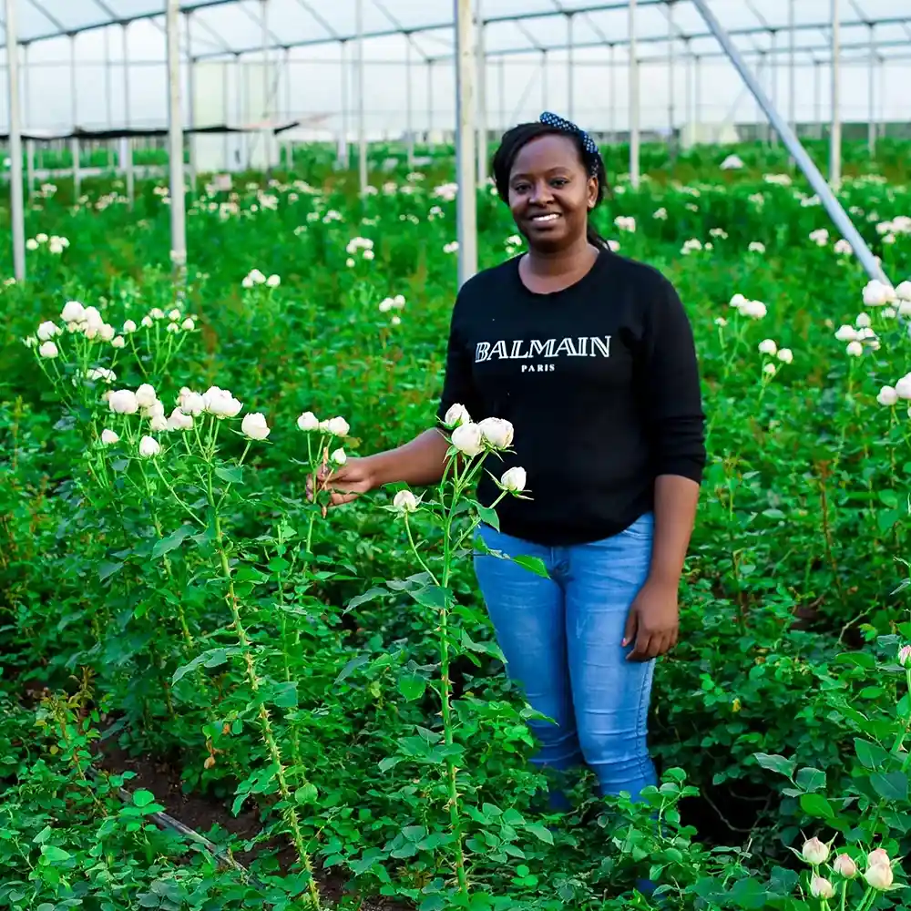 Flora Ola grower on Thursd feature
