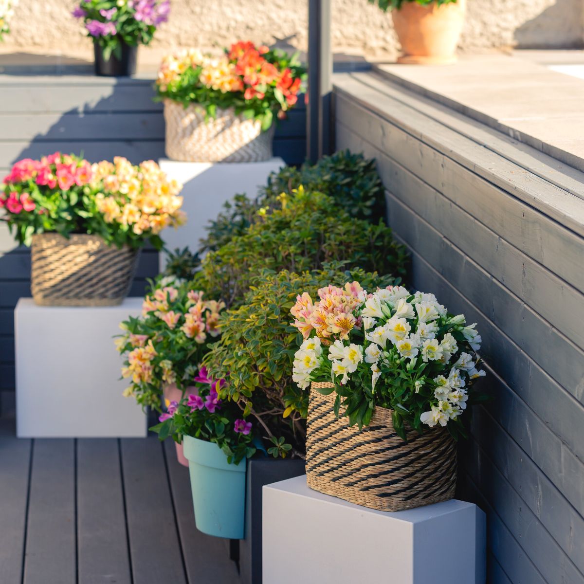 Outdoor spaces with Colorita alstroemerias