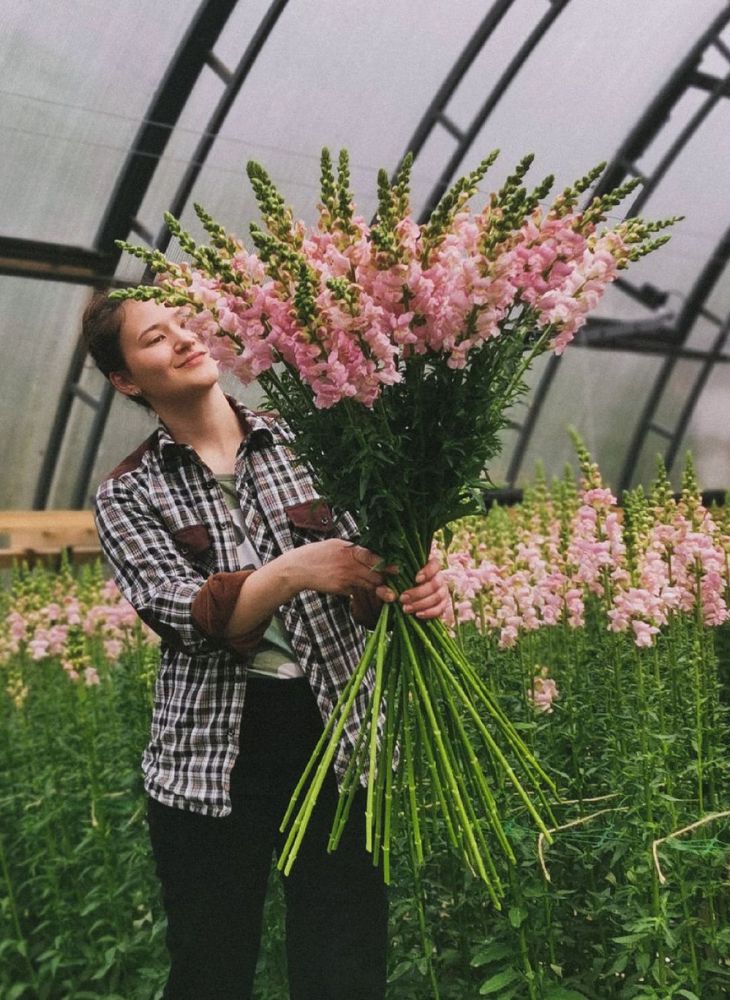 Snapdragon Flower Arrangement