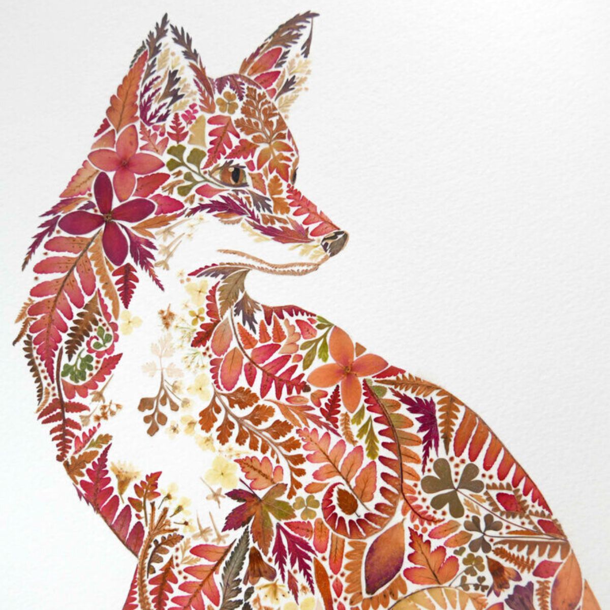 Image of a fox using pressed flowrs