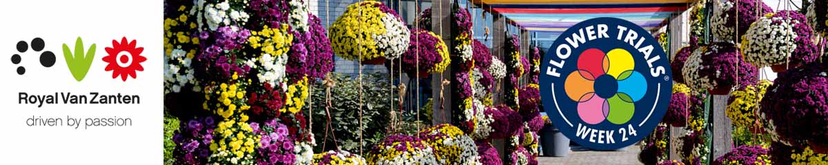 Royal Van Zanten Banner FLowerTrials