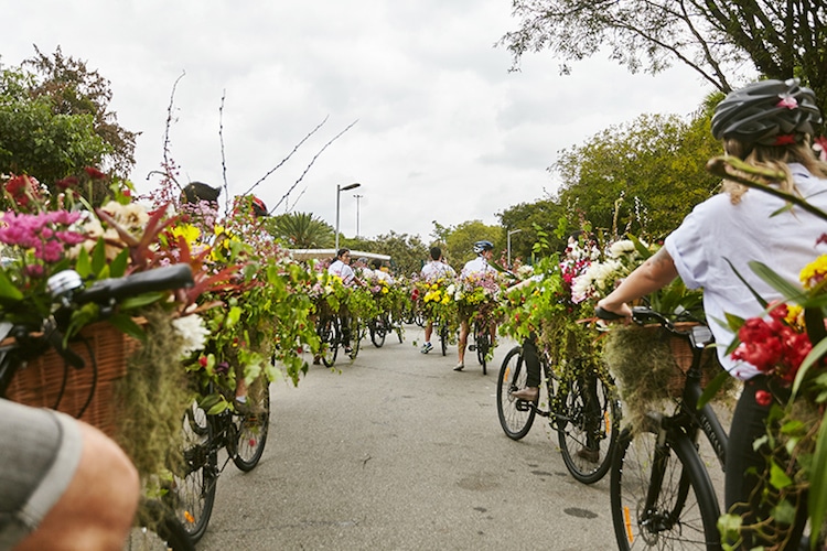 Azuma Makoto's Flower Messenger Bicycles Take Over São Paulo Japan House