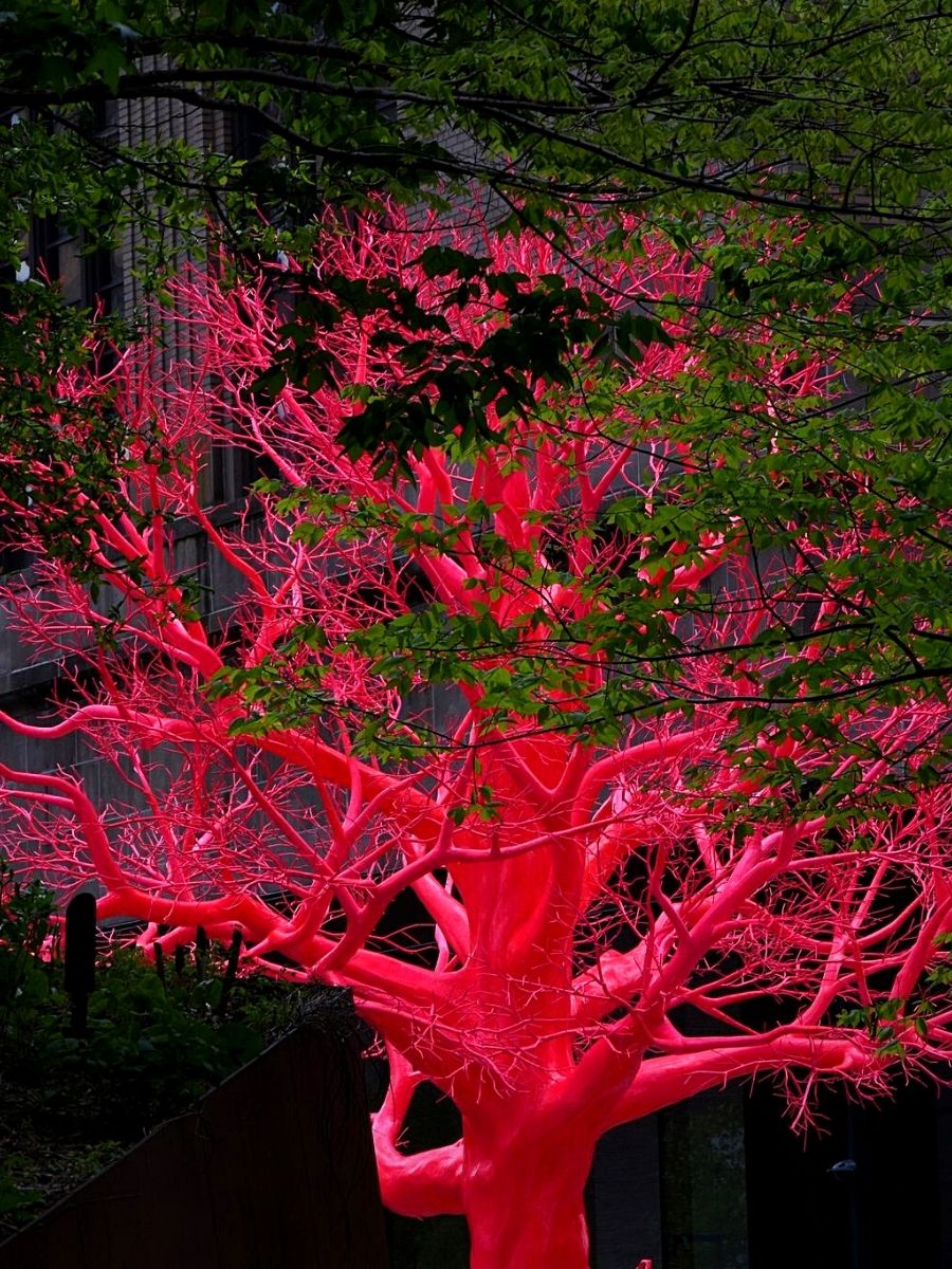 Pamela Rosenkranz Lucent Pink Tree Artwork in New York