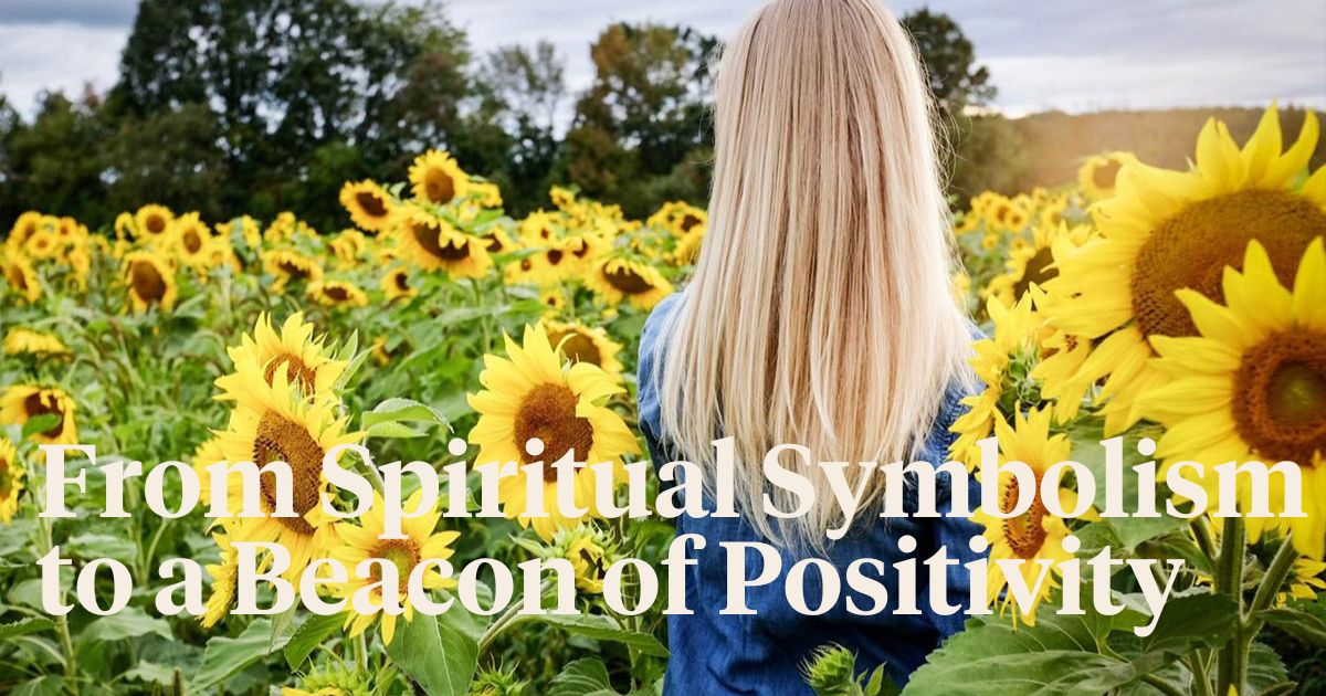 Meaning and Symbolism of the Sunflower