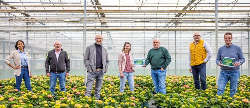 The Magical Jewel Surprises Garden Hydrangea Enthusiasts - price winners - on thursd