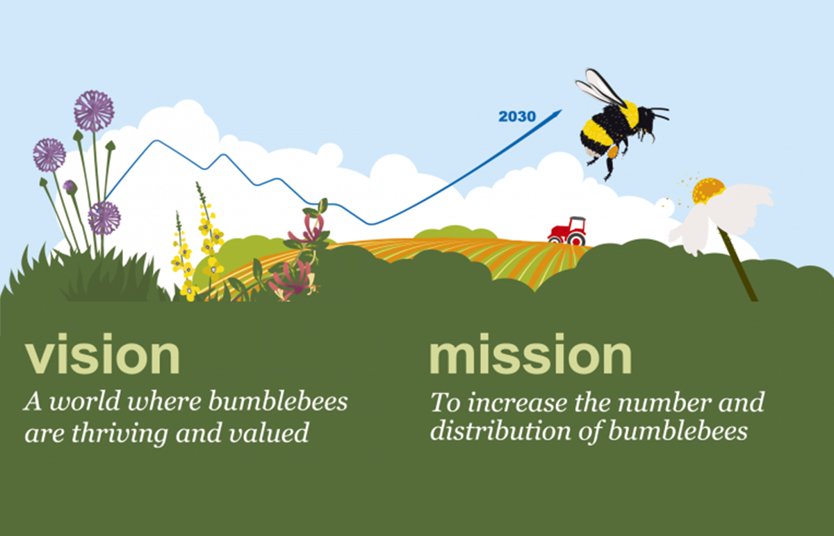 Bumblebee Conservation Trust vision mission