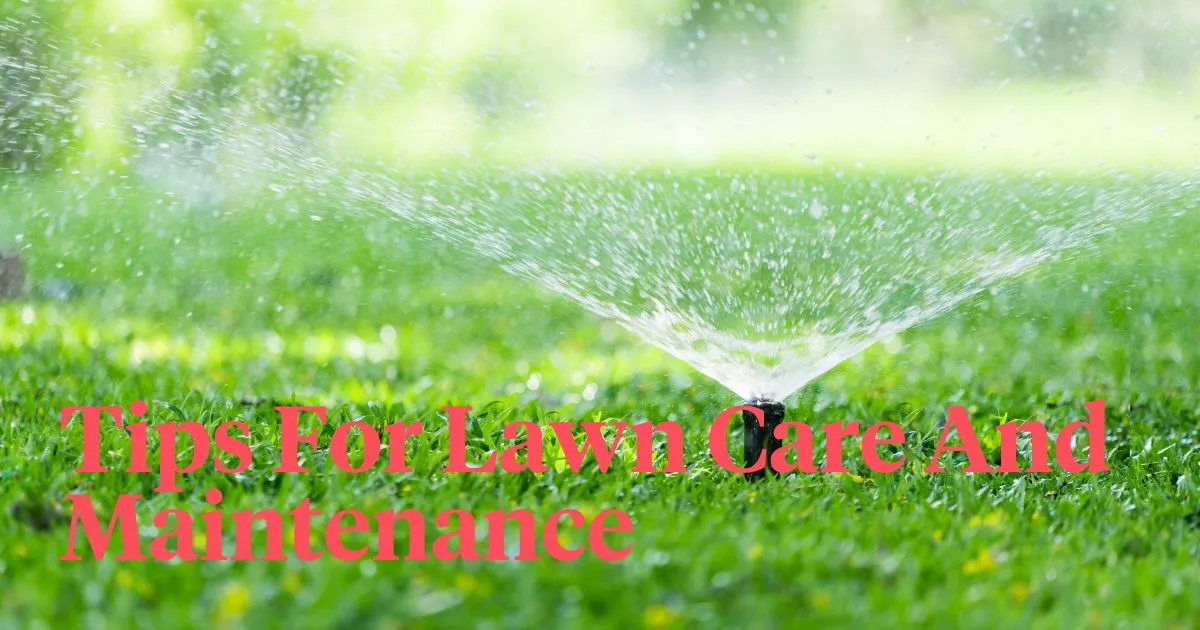Tips For Lawn Care And Maintenance