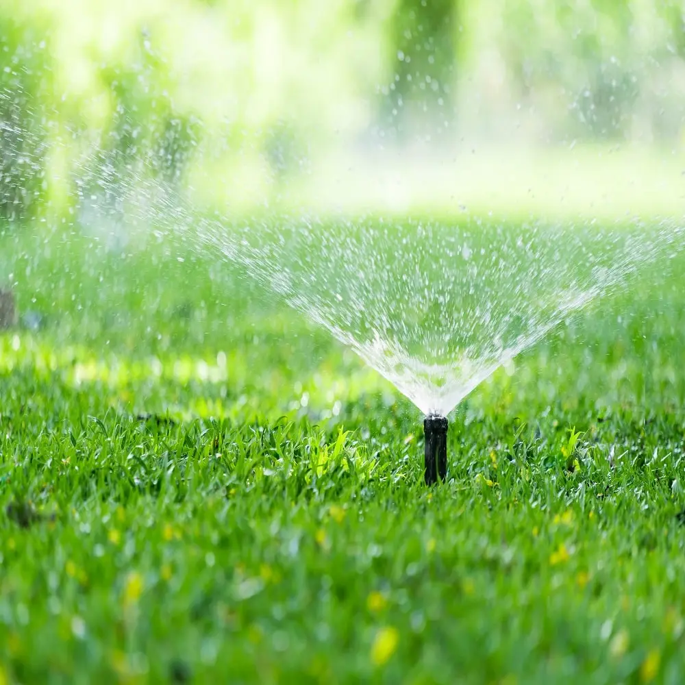 Tips-For-Lawn-Care-And-Maintenance-min
