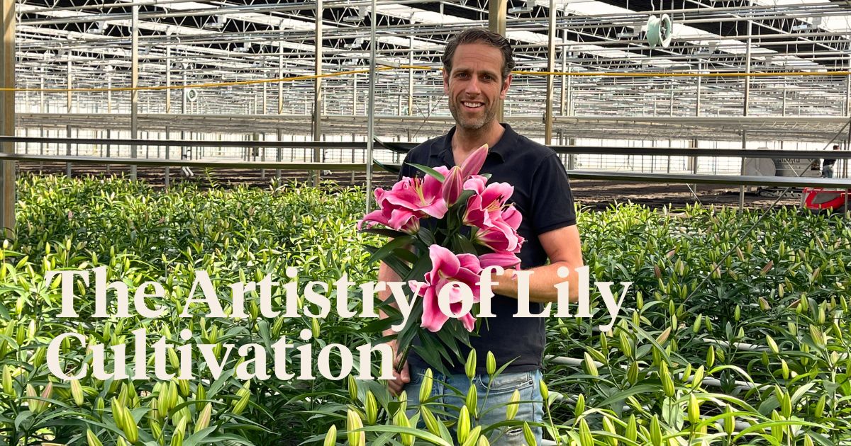Visiting Lily Grower Qualily