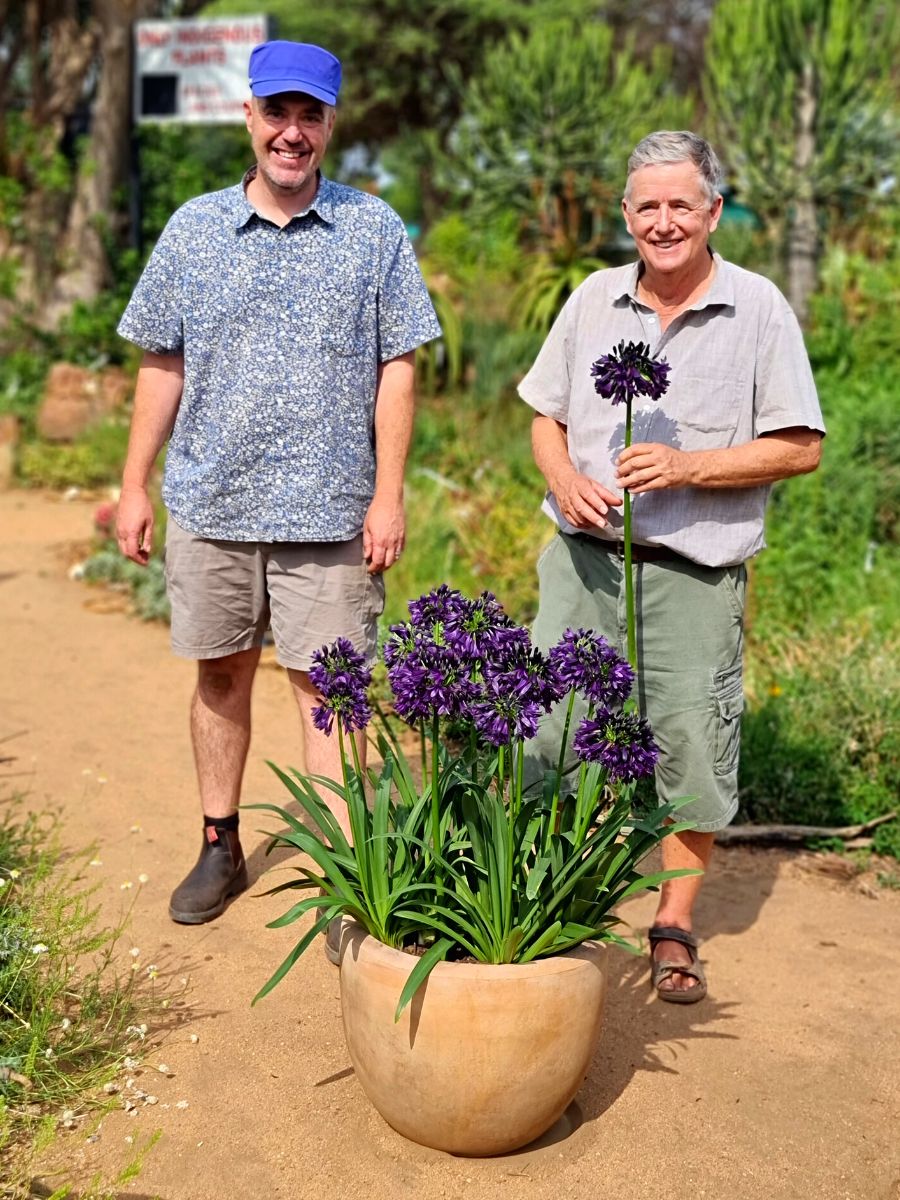 Quinton Bean and Andy de Wet with Agapanthus Blackjack