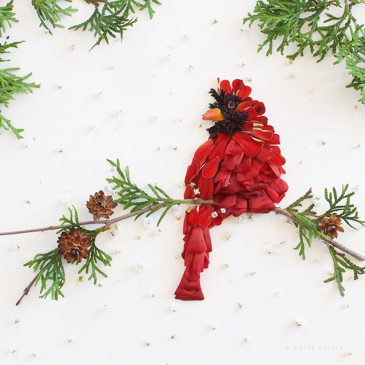 Blossoms and Twigs Are Turned Into Stunning Floral Compositions Floral Bird