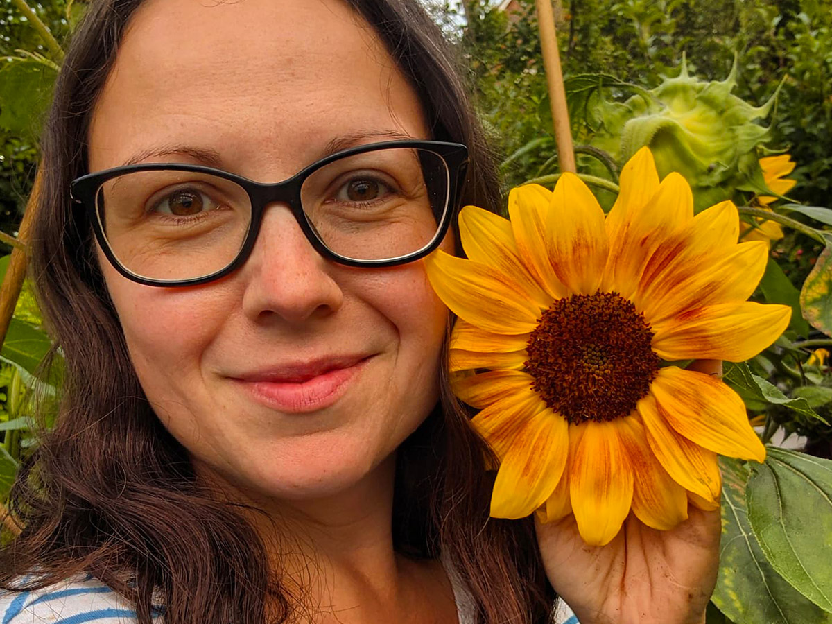 Vics Sussex Garden with sunflower