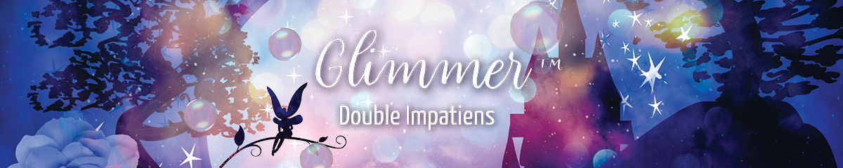 Banner Impatiens Glimmer