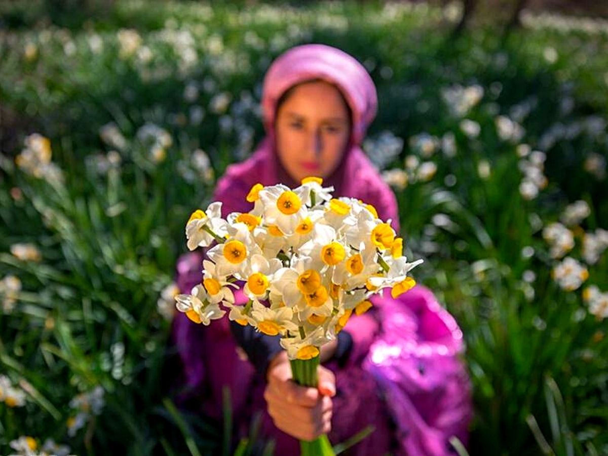 Daffodil serves as a mirror of inner beauty in the Quran.