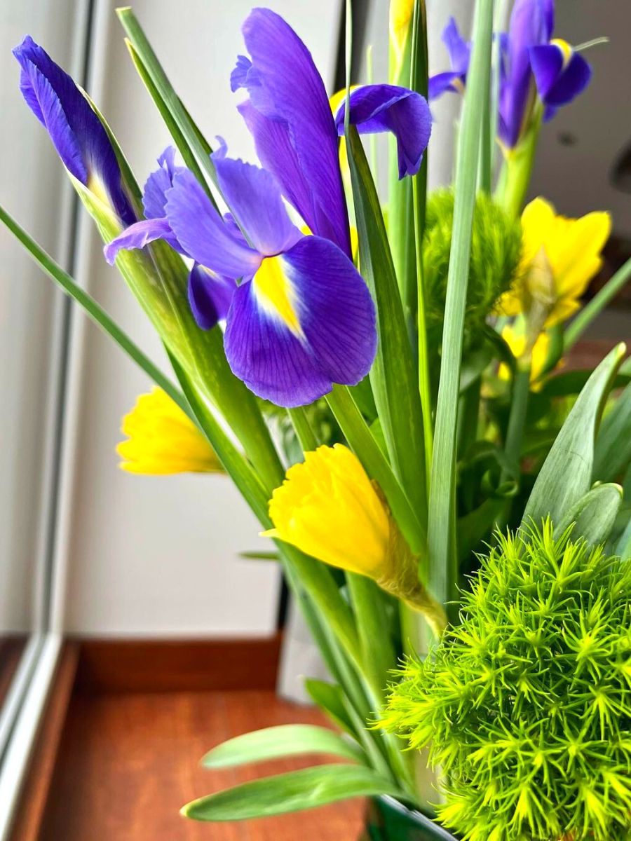 Irises in a flower arrangement