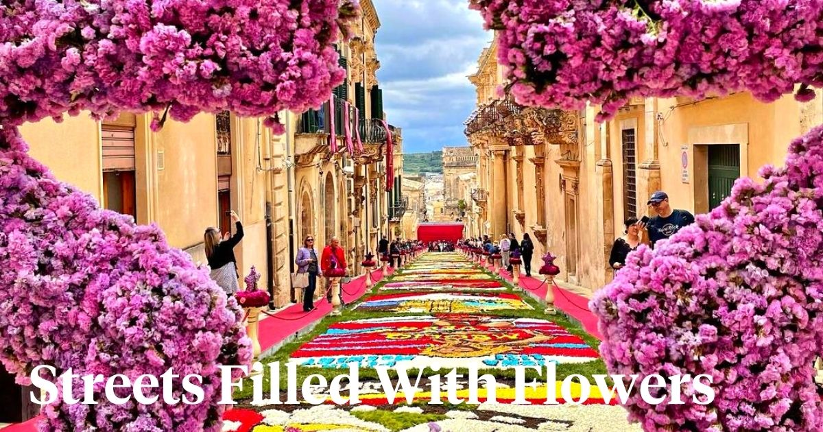 Streets filled with flowers header