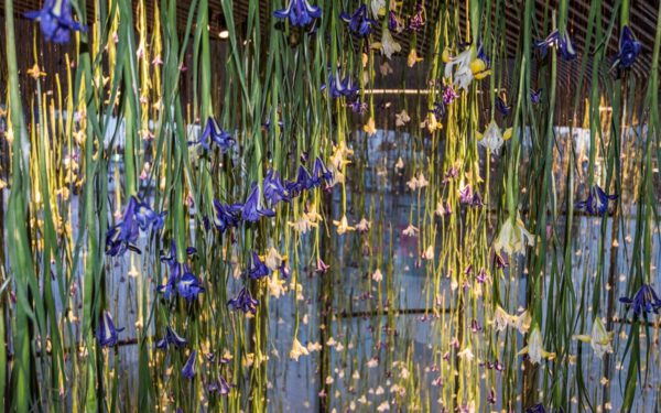 The Iris in a Sculptural and Painterly Fashion - rebecca louise law - iris exhibition - gallery of hanging iris - on thursd