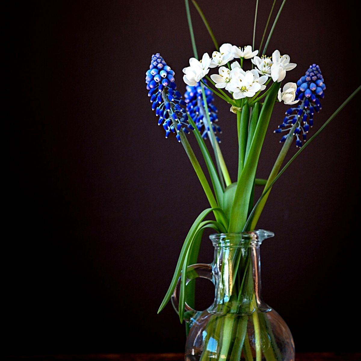 Hyacinths planted in a jar of water