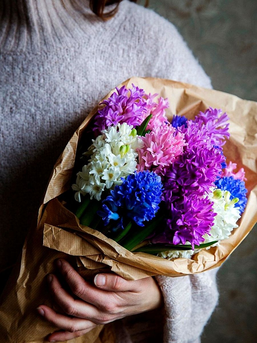 bouquet of colorful hyacinth flowers