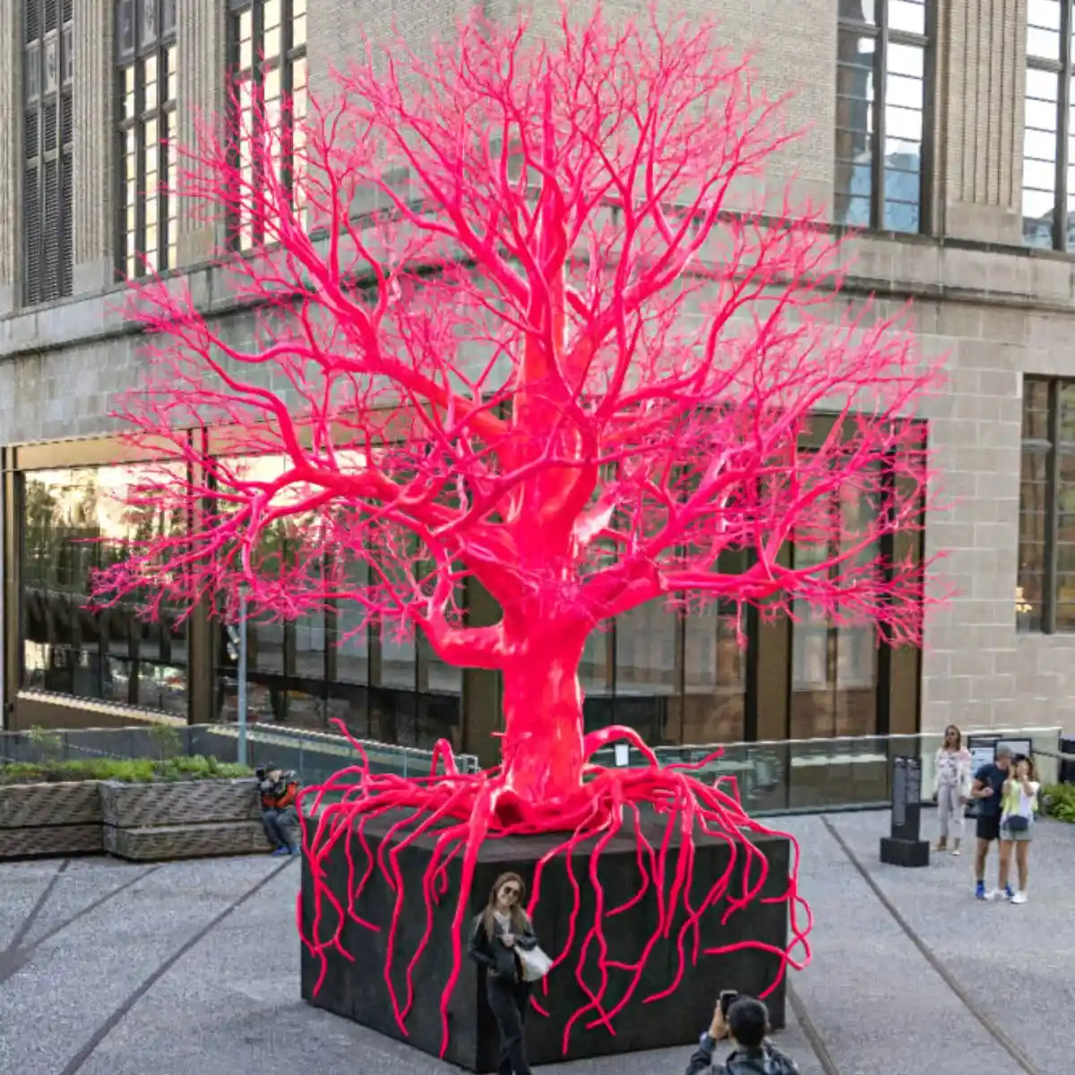 Pamela Rosenkranz Pink Tree