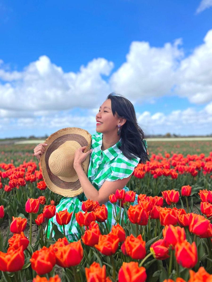 Tulip field