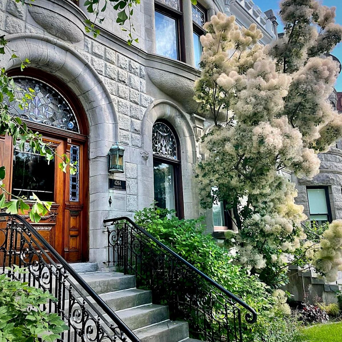 Smoke tree outsie a grand doorway