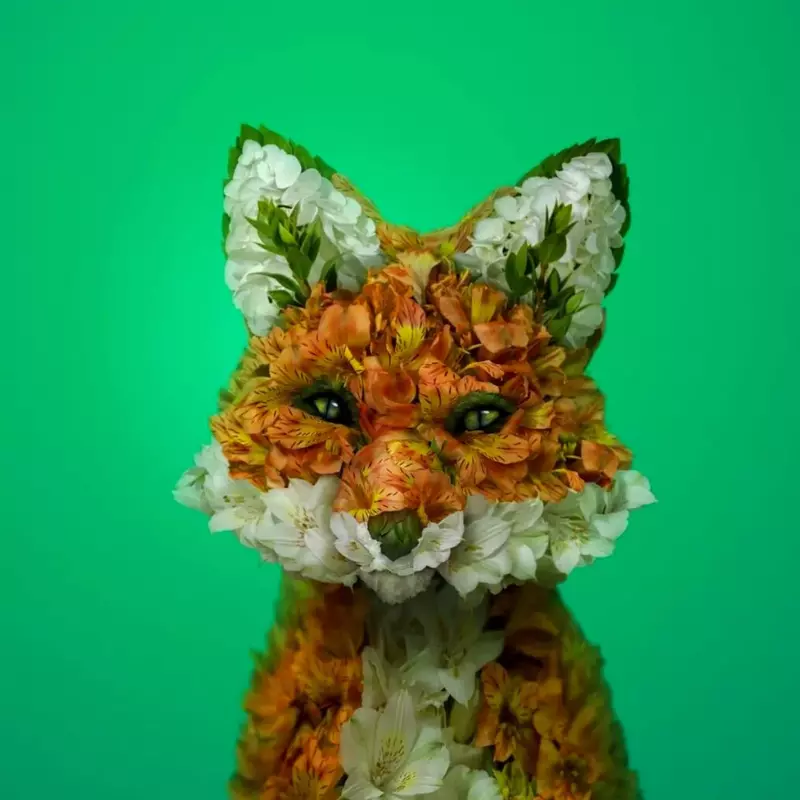 Reikan Creations fox