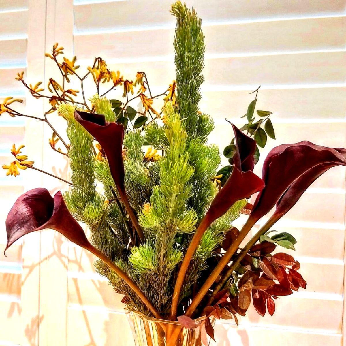 Textured arrangements using Odessa callas