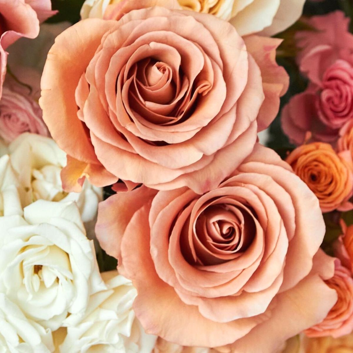 Delicacy of neutral roses in a bouquet