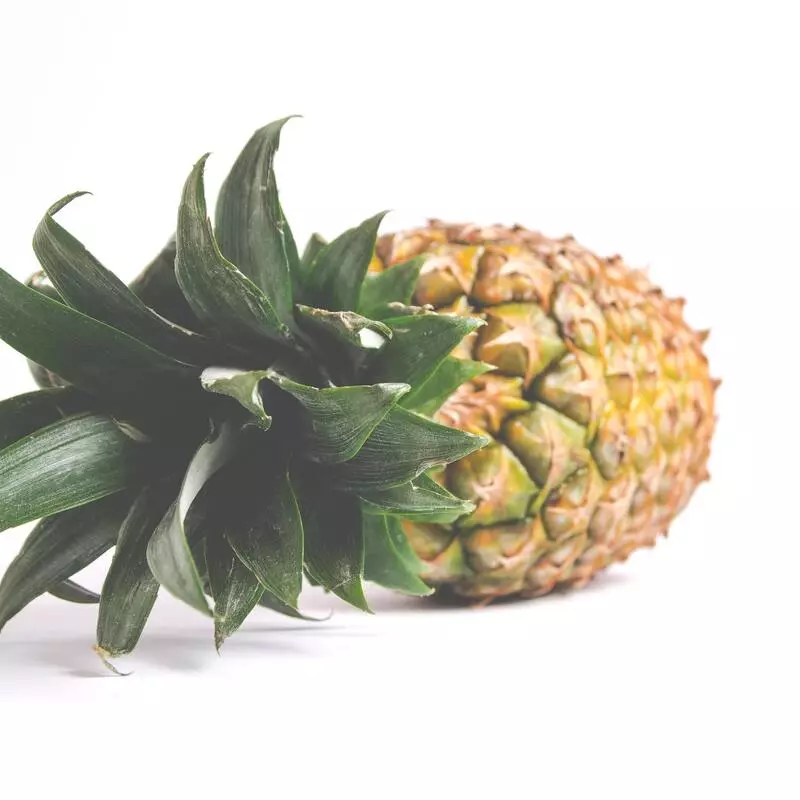 Grow A Pineapple