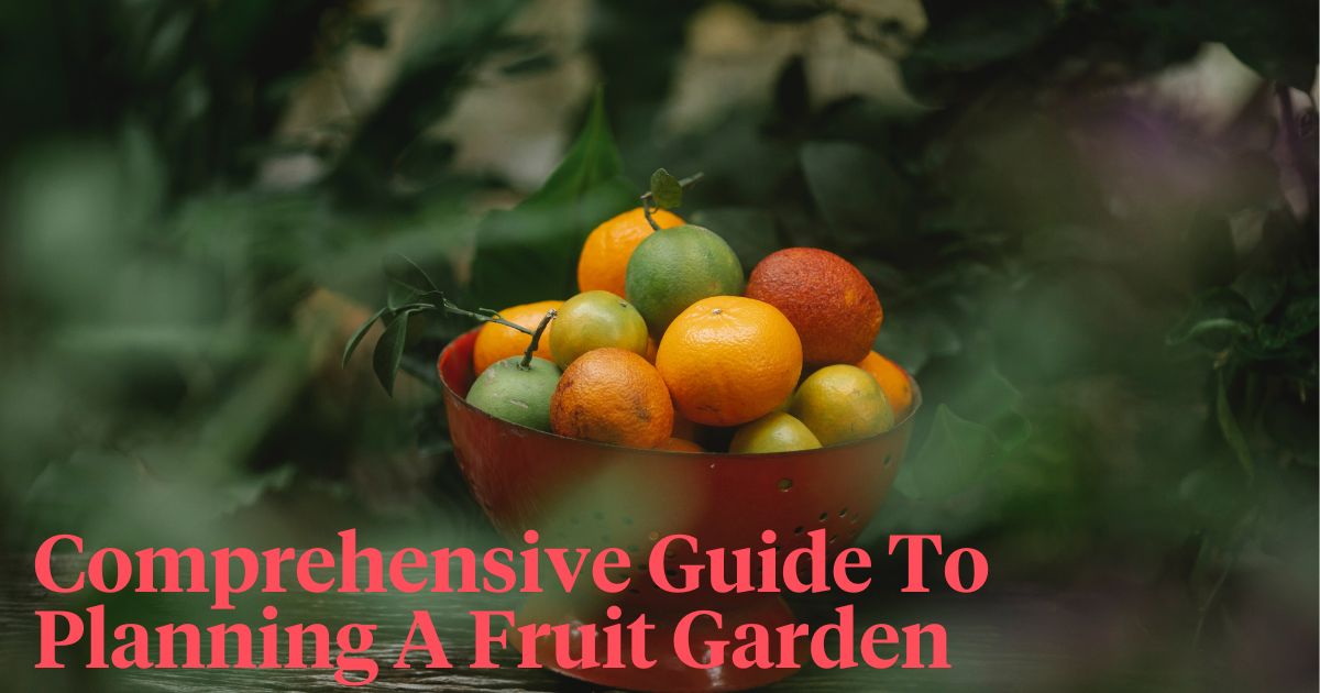 Planning A Fruit Garden