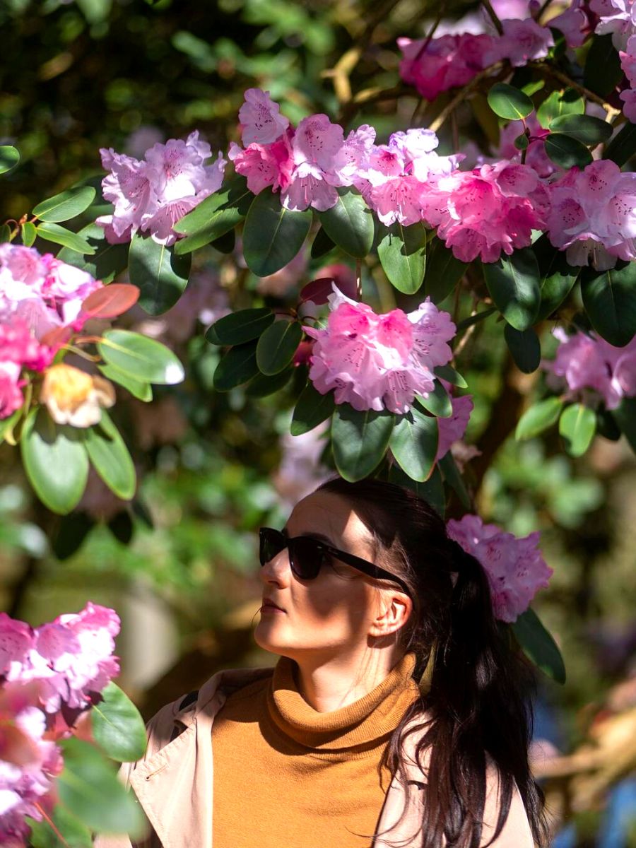 Amazing flowers and garden shows in Court Palace