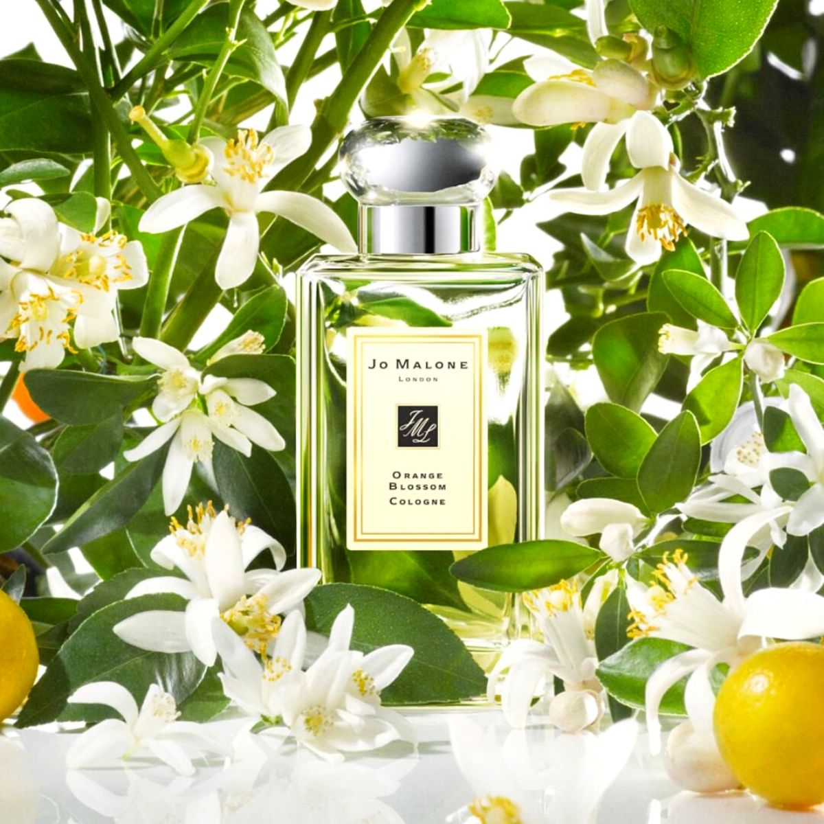 Natural floral perfumes by Jo Malone