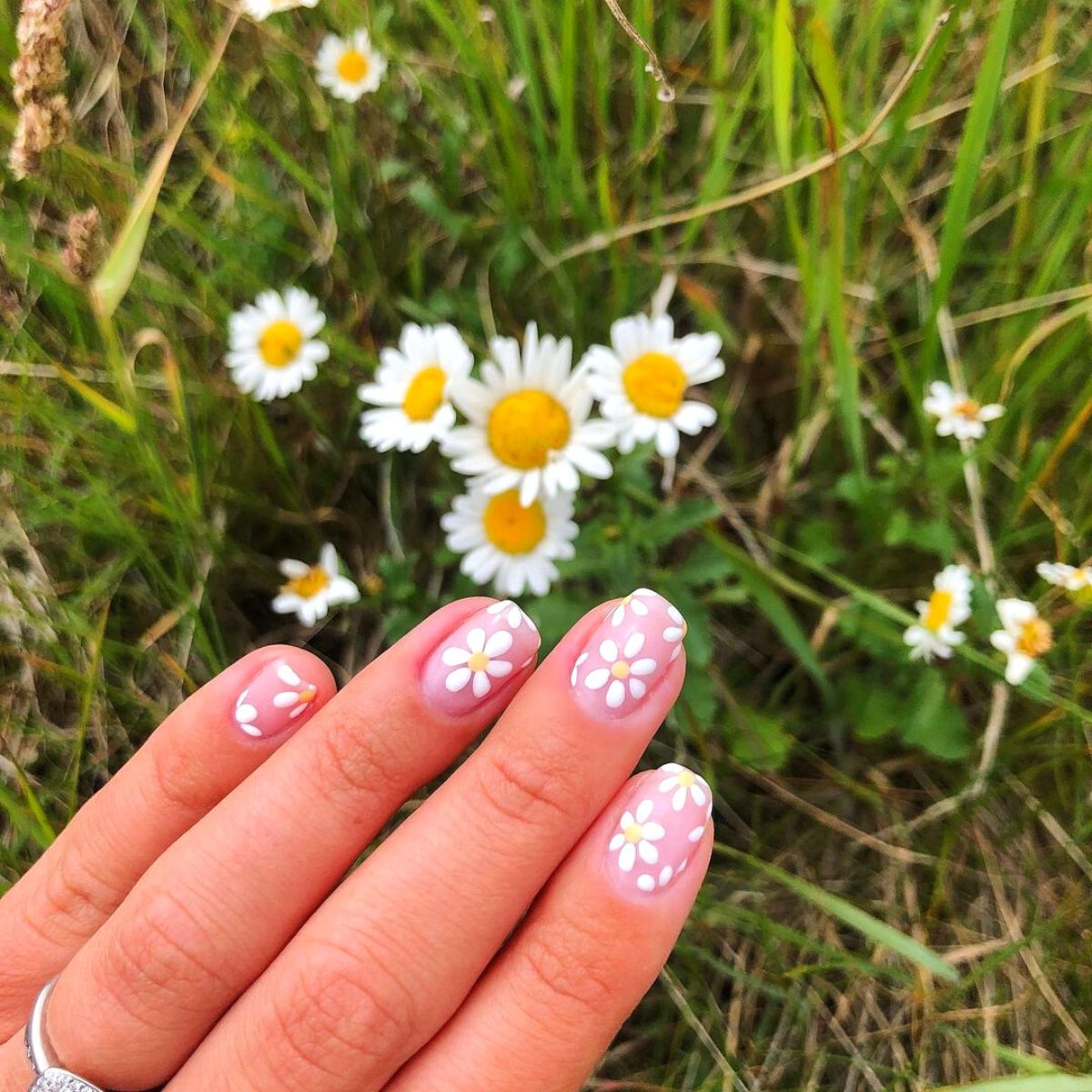 Daisy nail art with daisy background