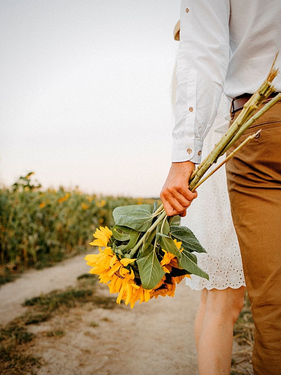 Orange Blossom: Origin, Meaning, and Symbolism - SnapBlooms Blogs