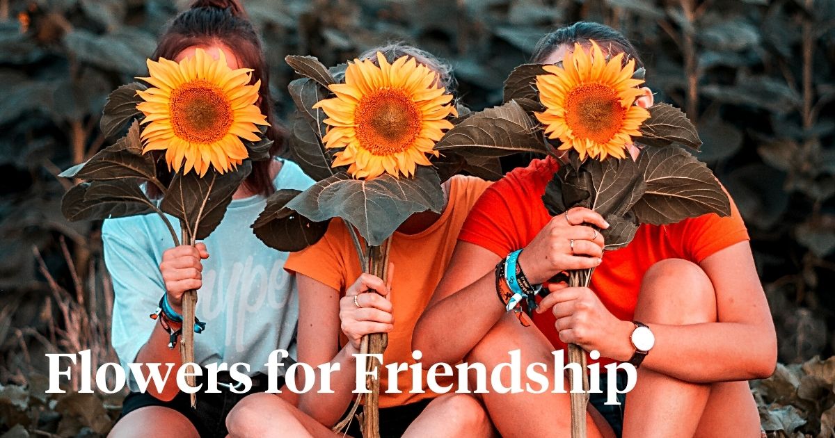 These are the enchanting flowers that symbolize friendship