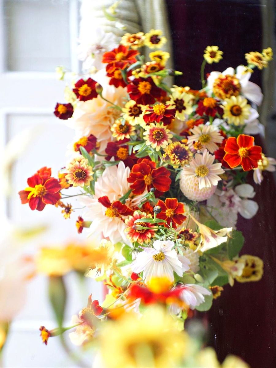 Colorful floral design by Emily Avenson
