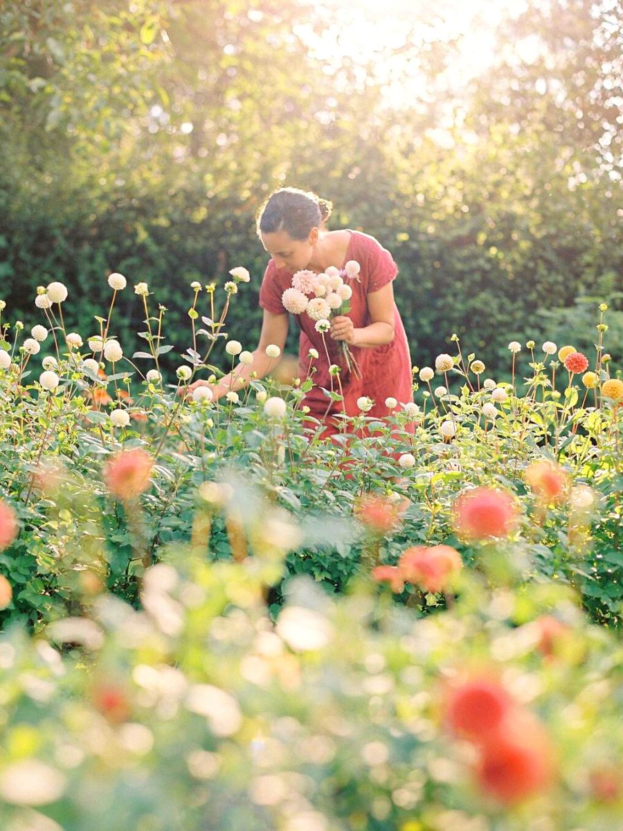 Emily Avenson picking flowers from her garden