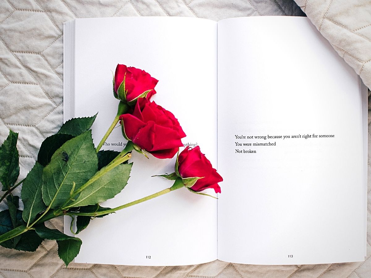 red rose pictures with quotes