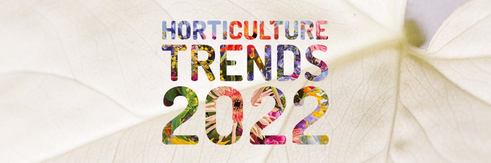 Flower Council Holland Announces 2022 Horticulture Sector Trends