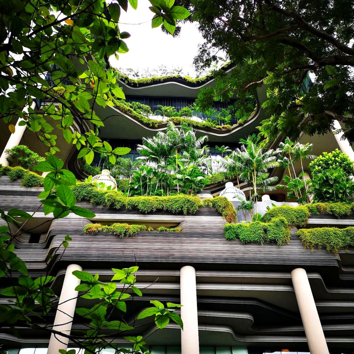 Parkroyal hotel in Singapore is a green paradise