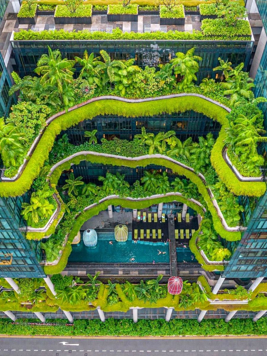 Stupendous upper view of the greenery