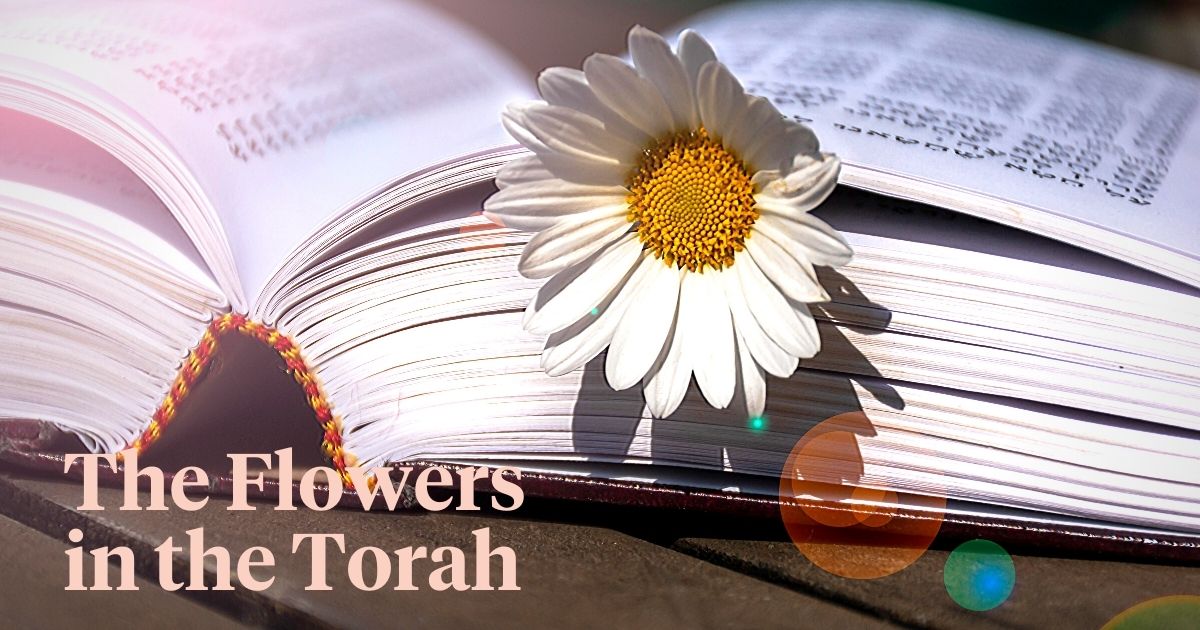 Symbolism and significance of the flowers in the Torah
