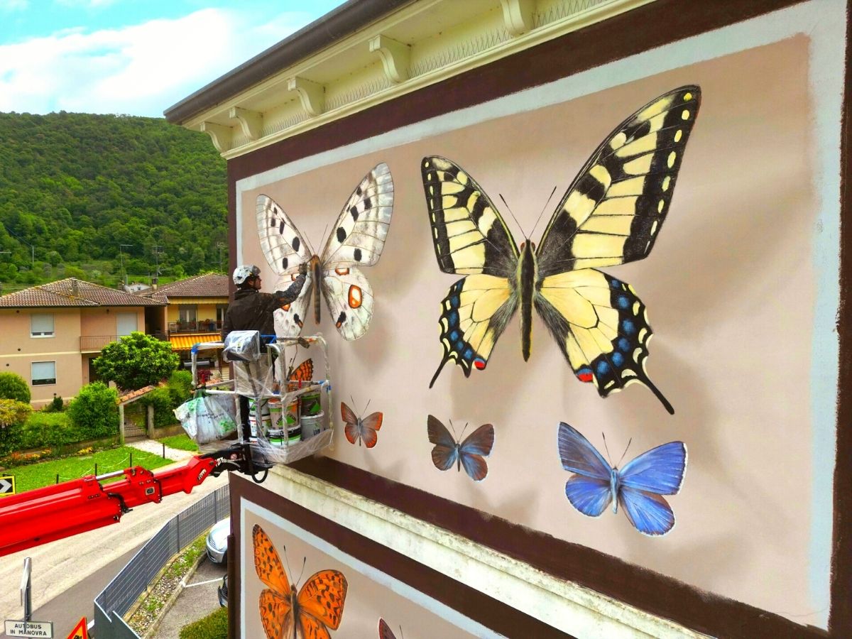 Butterfly artistic murals by Mantra artist