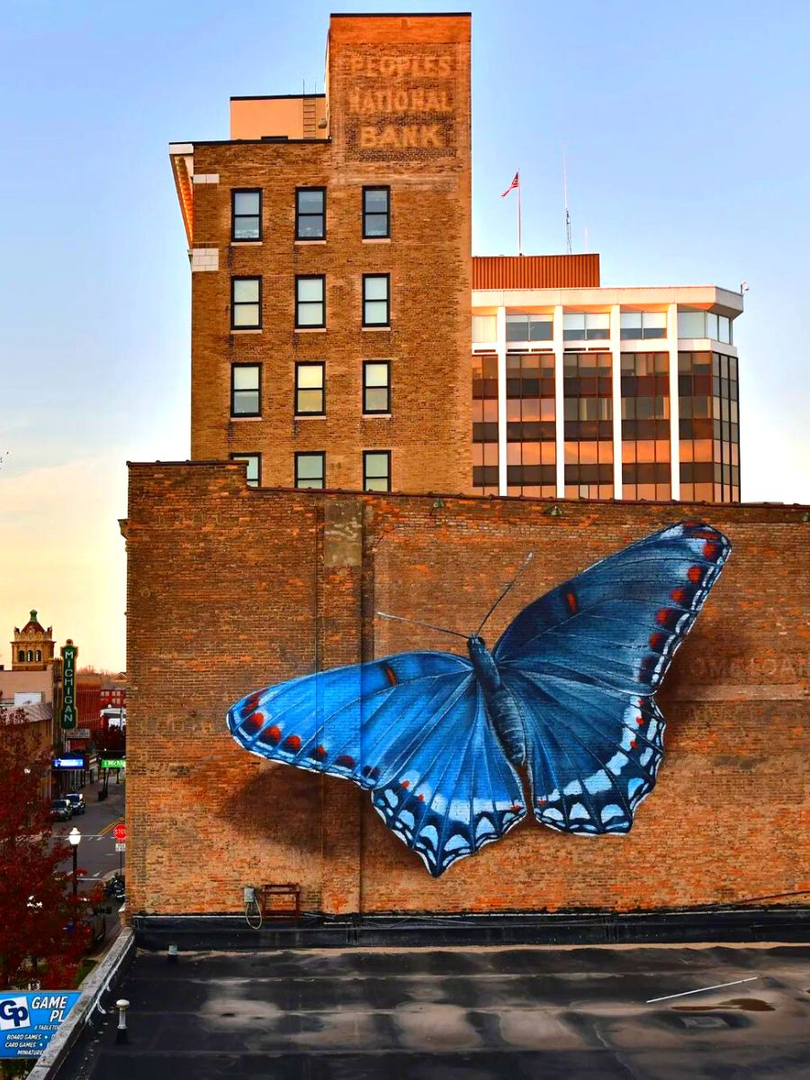 Blue butterfly mural