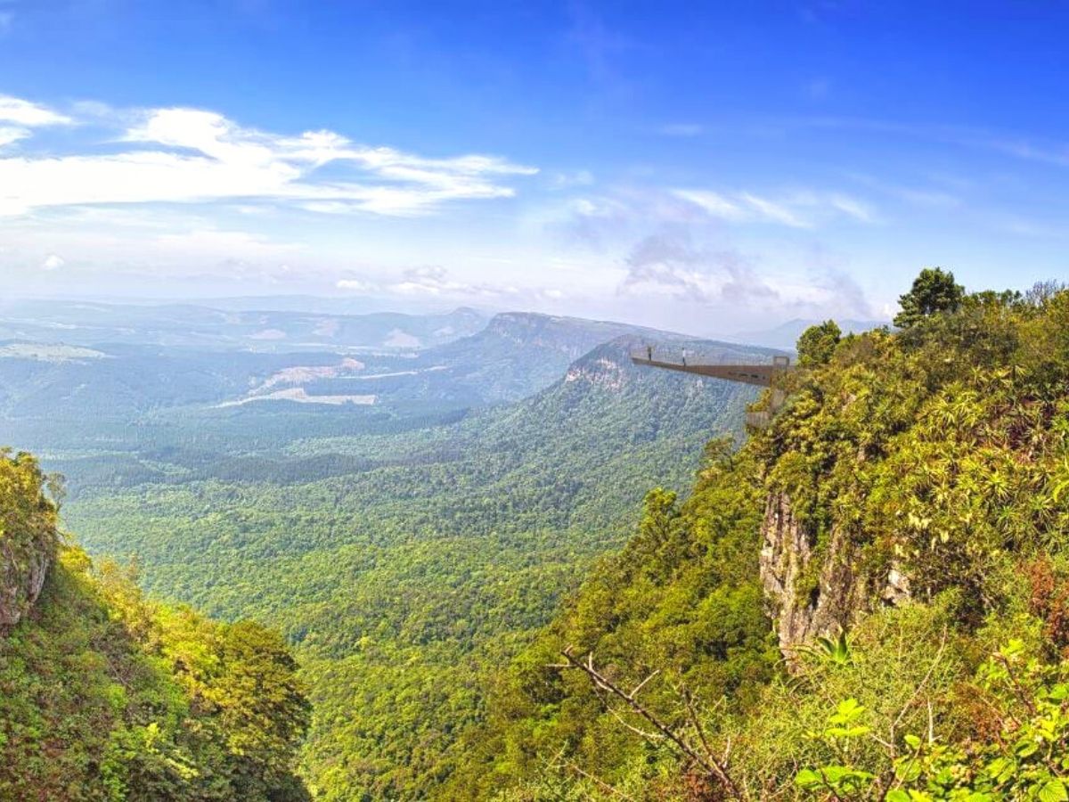 Gods Window elevated walkway in Africa