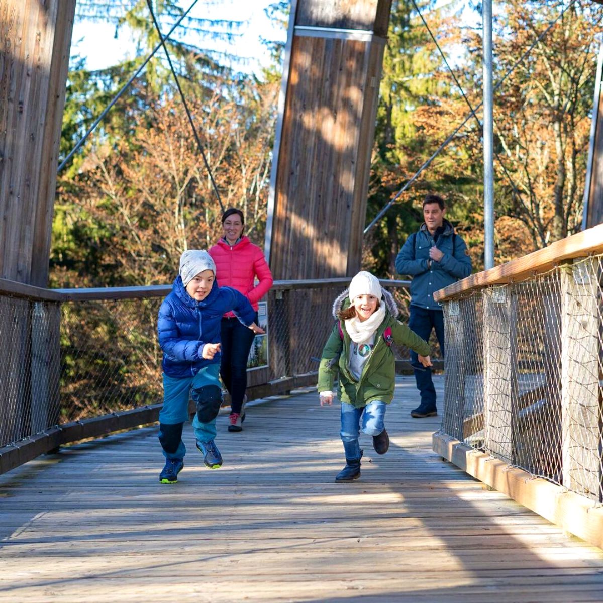 Children running around Treetop elevated walkway