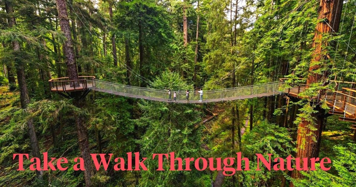 Strolling through a nature walkway